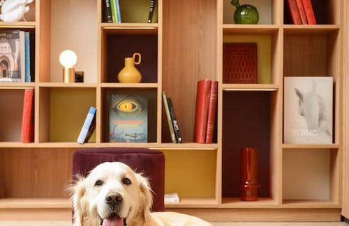 Roissy-en-France Apartment | 30 m² Apartment ∙ 1 guest