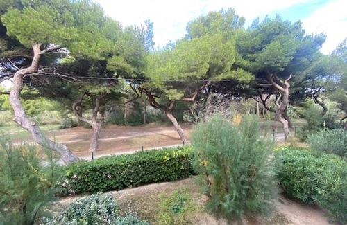 Vert-le-Grand Apartment | 33 m² Apartment ∙ 1 bedroom ∙ 5 guests