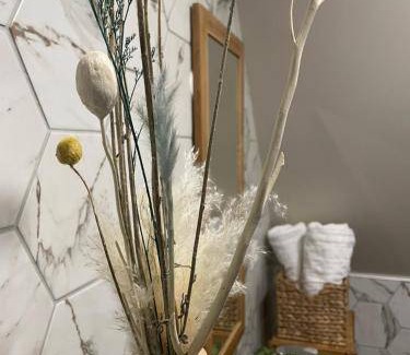 Saint-Amand-les-Eaux Bed & Breakfast | 40 m² Bed and breakfast ∙ 2 guests