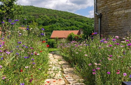 La Bussiere-sur-Ouche Bed & Breakfast | 43 m² Bed and breakfast ∙ 1 bedroom ∙ 2 guests