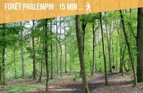 Phalempin Apartment | 50 m² Apartment ∙ 1 bedroom ∙ 3 guests