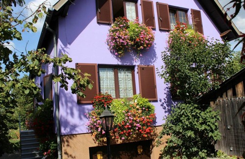 Marckolsheim Apartment | 54 m² Apartment ∙ 1 bedroom ∙ 5 guests