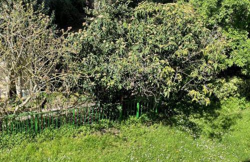La Courneuve House | 80 m² House ∙ 3 bedrooms ∙ 6 guests