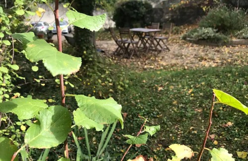 Issy-les-Moulineaux Apartment | Appartement 120 m² Lumineux, Jardin, Parking Gratuit - Idéal Familles/groupes !