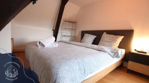 Arras Apartment | Arras loft, 5p central