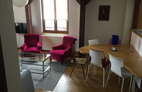 Colmar Centre Ville Apartment | Au Bonheur des Anges Appartement 2 chambres avec terrasse