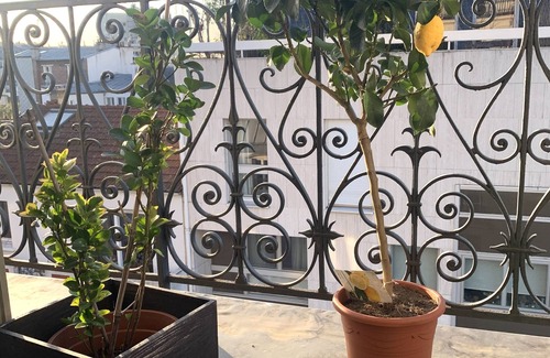 Montparnasse Apartment | Beautiful 100m2 apartment with view