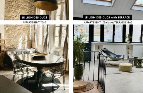 Old Town Apartment | Centre historique de Dijon "Le Lion des Ducs" et "Le Lion des Ducs with Terrace"