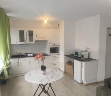 Dernier Sou Apartment | Centre Proche vieille ville et remparts-Appartement 50m2