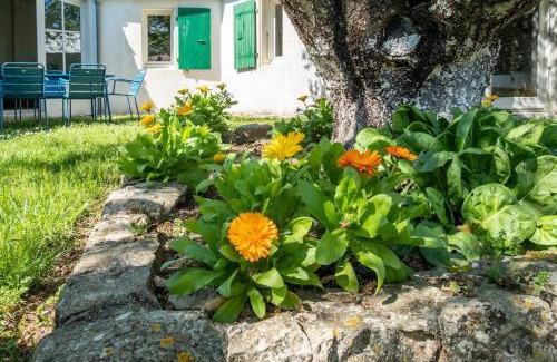 Sainte-Marie-de-Re House | Charmante maison rhétaise dans jardin de 300m2