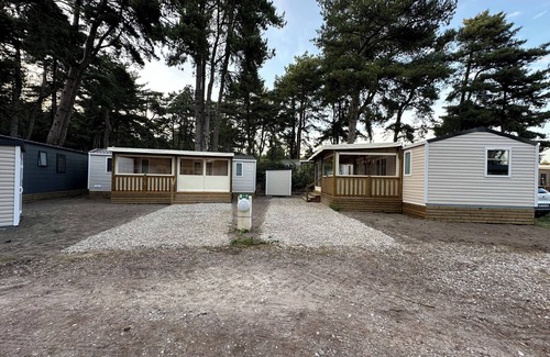 Quend House | IN QUEND PLAGE LES PINS IN THE HEART OF THE PINES 10 MINUTES WALK FROM THE SEA