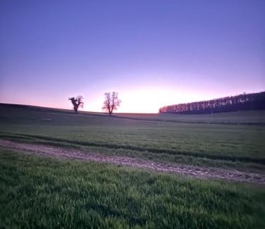 Charleval Other | La roulotte de bonneval