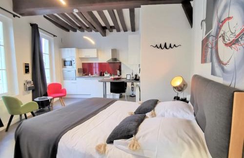 Chartres Apartment | Le Saint-Aignan, Nuits-chartraines, Parking privé a quelques minutes, 3 étoiles