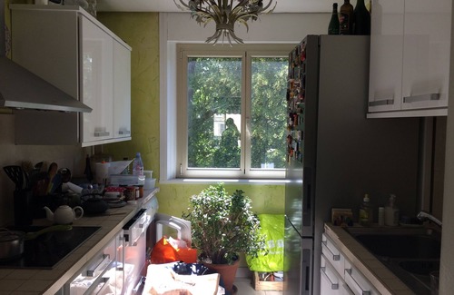 Clagny Glatigny Apartment | Versailles, crossing apartment surrounded by greenery with large balcony