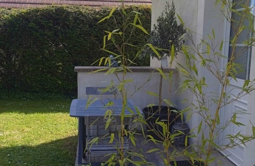 Thorigny-sur-Oreuse Bed & Breakfast | 1 Bedroom Bed & breakfast in THORIGNY-SUR-OREUSE