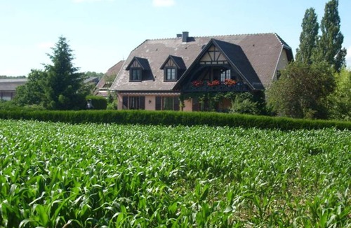 Hochfelden Apartment | 100 m² Apartment ∙ 2 bedrooms ∙ 3 guests