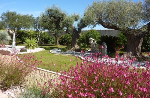 Cournonterral House | 110 m² Gîte ∙ 4 bedrooms ∙ 6 guests