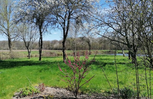Saint-Firmin-sur-Loire Cottage | 175 m² Cabin ∙ 5 bedrooms ∙ 10 guests