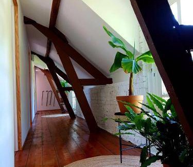 Machiel Bed & Breakfast | 20 m² Bed and breakfast ∙ 2 guests