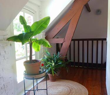 Machiel Bed & Breakfast | 20 m² Bed and breakfast ∙ 2 guests