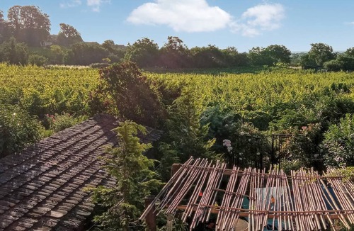 Mittelbergheim House | 220 m² House ∙ 4 bedrooms ∙ 10 guests