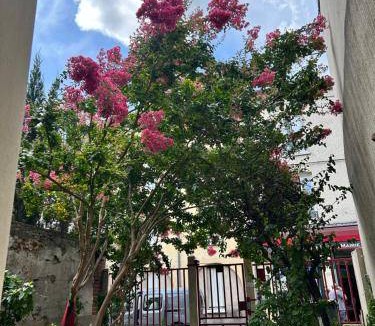 Quartier Centre Ville Apartment | 23 m² Apartment ∙ 1 bedroom ∙ 3 guests