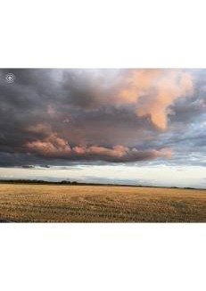Albã Bed & Breakfast | 30 m² Bed and breakfast ∙ 4 guests