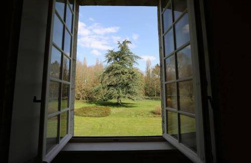 Pays de Mortagne-au-Perche Bed & Breakfast | 35 m² Bed and breakfast ∙ 2 guests