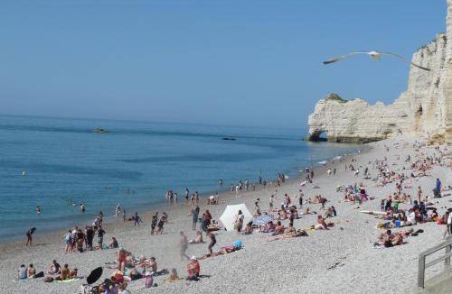 Etretat Bed & Breakfast | 38 m² Bed and breakfast ∙ 2 guests