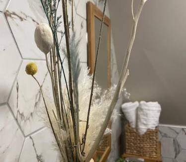 Saint-Amand-les-Eaux Bed & Breakfast | 40 m² Bed and breakfast ∙ 2 guests
