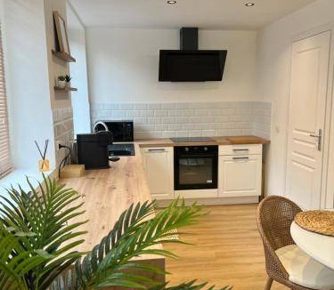 Calais Frethun Apartment | 50 m² Apartment ∙ 1 bedroom ∙ 2 guests