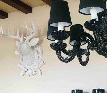 Auxi-le-Chateau Apartment | 70 m² Apartment ∙ 1 bedroom ∙ 2 guests