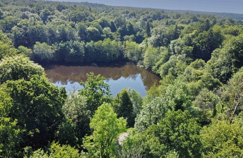 Chaumont Cottage | 75 m² Cabin ∙ 1 bedroom ∙ 2 guests