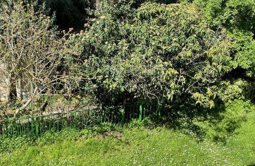 La Courneuve House | 80 m² House ∙ 3 bedrooms ∙ 6 guests