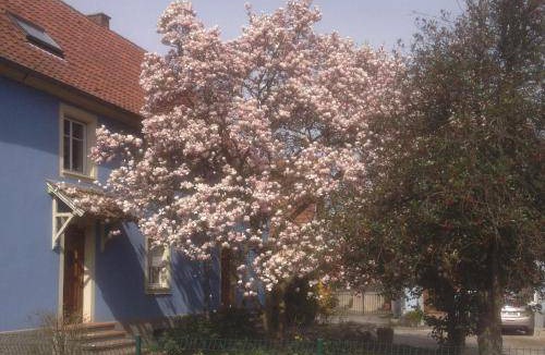 Koenigshoffen Est House | 90 m² House ∙ 2 bedrooms ∙ 4 guests