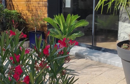 Ailly-sur-Noye Apartment | Accommodation with a landscaped patio with trees. Ideal for a moment for two.