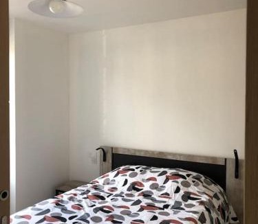 Vittel Apartment | Appart 34m2 rénové , lumineux