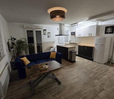 Illkirch-Graffenstaden Apartment | Appartement parking gratuit