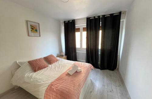 Devant-les-Ponts Apartment | Appartement 3 chambres parking Metz