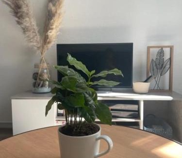 Lons-le-Saunier Apartment | Appartement calme au cœur de la ville