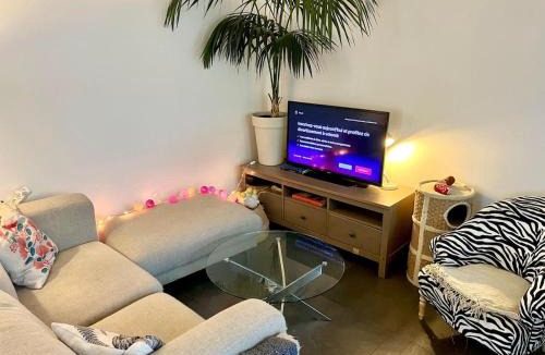 La Wantzenau Apartment | Appartement Cosy & Confort - Jardin