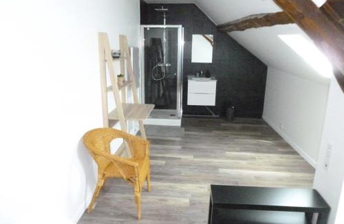 Bonnieres-sur-Seine Apartment | Appartement duplex 3 chambre 85m2
