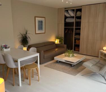 Old Lille Apartment | Appartement ,superbe terrasse 40m2 , vieux Lille , centre ville