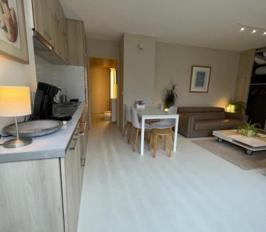 Old Lille Apartment | Appartement ,superbe terrasse 40m2 , vieux Lille , centre ville