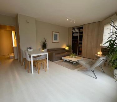 Old Lille Apartment | Appartement ,superbe terrasse 40m2 , vieux Lille , centre ville