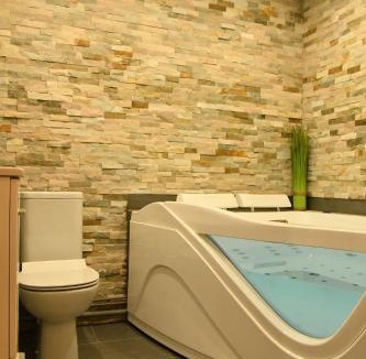 Draveil Apartment | Appartement Tropical et JACUZZI Balnéothérapie Draveil