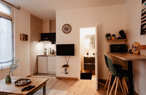Valenciennes Apartment | Apt 101 - Studio-Ensuite with Shower