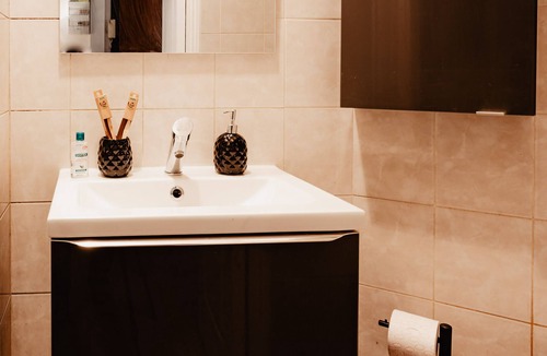 Valenciennes Apartment | Apt 101 - Studio-Ensuite with Shower