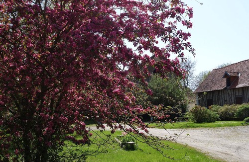Tigny-Noyelle House | At the "Ferme De Tigny" - South Opal Coast - Sea, River & Animals .