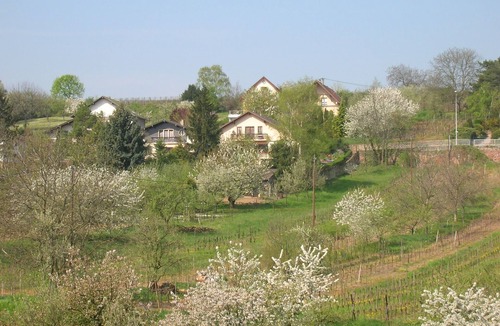 Obernai Apartment | At the foot of the vineyards, apartment in a small residential condominium.